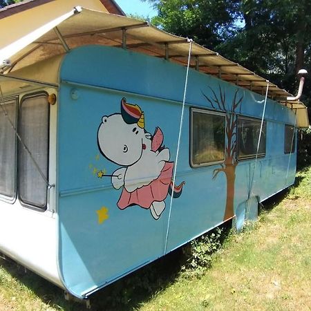 Geraumiger Wohnwagen Unter Baumen Neben Mur-Stausee Feldkirchen bei Graz 외부 사진